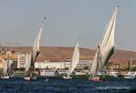 Feluccas girando ao vento, Assuão, Egipto.