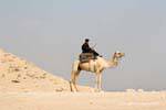 Polícia Camel, Saqqara, Egipto.