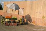 Pequeno mercado de frutas na beira da estrada, Saqqara, Cairo, Egipto.