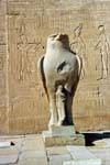 Estátua de Hórus, o falcão-deus na frente de um pilão, Templo de Edfu, Egipto.