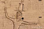 Faraó Ptolomeu XII em inimigos pelos cabelos, alívio pilão, Templo de Edfu, Egipto.