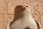 Estátua do deus falcão Horus (close-up), entrou no templo, Edfu, Egipto.