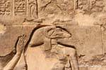 Khnum, o deus com cabeça de carneiro, Esna Temple, Egipto.