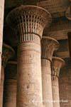 Jogo das colunas florais como colunas de pedra de papiro Hall, Templo de Khnum, Esna, Egipto.