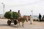 Charette grama puxado por um burro, a vida diária em Esna, Egipto.
