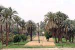 Campo campo cultivado em torno de Esna, Egipto.