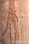 Umbigo e da rainha tampa sobre uma coluna do Hypostyle Hall, Templo de Kom Ombo, Egipto.