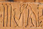 Palafitas e deus Bastet gato sentado atrás do rei, relevo, Templo de Kom Ombo, Egipto.