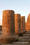 Outro ponto de vista das colunas truncadas iluminada pelo sol poente, templo de Kom Ombo, Egipto.