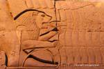 O Leão, detalhe de uma escultura, templo de Kom Ombo, Egipto.