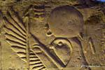 Figura Horus Ra, baixo-relevo do Templo de Kom Ombo, Egipto.