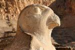 Falcão Perfil Horus, Templo de Hatshepsut, Egipto.
