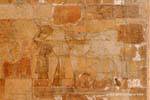 Templo de Hatshepsut, uma criança de beber o leite sagrado úbere, Egipto.