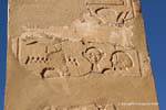 Detalhe em uma coluna da Capela de Hathor, Templo de Hatshepsut, Egipto.