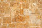 Representação Hathor vaca lambendo a mão de Faraó, Templo de Hatshepsut, Egipto.