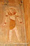 Mural de uma cor Horus Templo de Hatshepsut, Egipto.