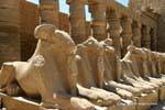 Fila de esfinge Bubastites pórtico do primeiro pátio, templo de Karnak, Egipto.