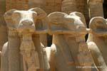 Faraó segurando o sinal Ankh entre as pernas do corpo de leão carneiro, o templo de Karnak, Egipto.