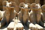 Patas de leão da Esfinge força para o Faraó, templo de Karnak, Egipto.