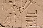 Feche acima do detalhe de um relevo, cabeça, coruja e entregá templo de Karnak, Egipto.