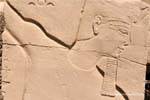 Perfil Faraó com barba falsa e coroa Deshret, Karnak, Egipto.