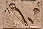 Coruja da sabedoria, Unilitère m, relevo recesso, templo de Karnak, Egipto.