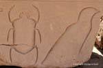 Beetle e pássaro, alívio recesso, templo de Karnak, Egipto.
