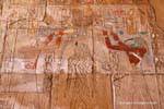 Thoth e Horus, Edfu purificar Hatshepsut, Santuário barcos sagrados, templo de Karnak, Egipto.