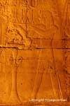 Amenhotep III fez uma oferta para Amun, baixo-relevo, Luxor, Egipto.