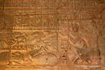 Amenhotep III oferece uma flor de lótus, Templo de Luxor, Egipto.