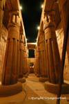 O Santuário da casca de Amun, Templo de Luxor, Egipto.