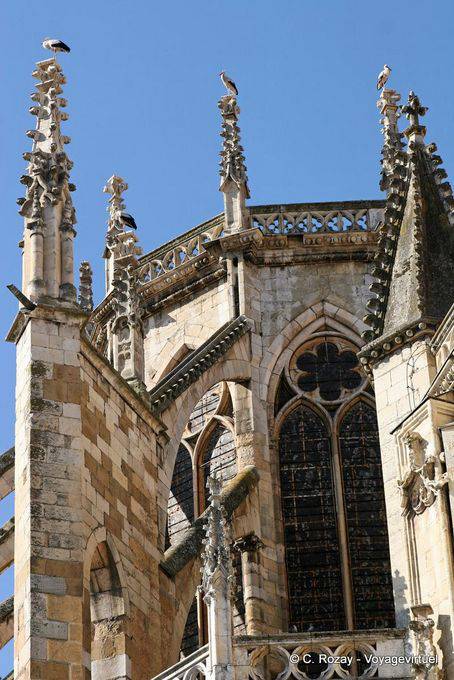 Cegonhas em Catedral de León - Espanha