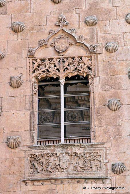 Reflexão em vidro e conchas Casa de las Conchas, Salamanca - Espanha