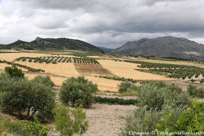 Lorca, paisagem da zona rural em Murcia - Espanha