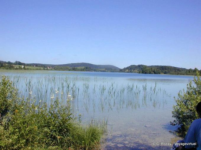 Vegetação nas margens do Lago Ilay (Jura) - Franche-Comté, França