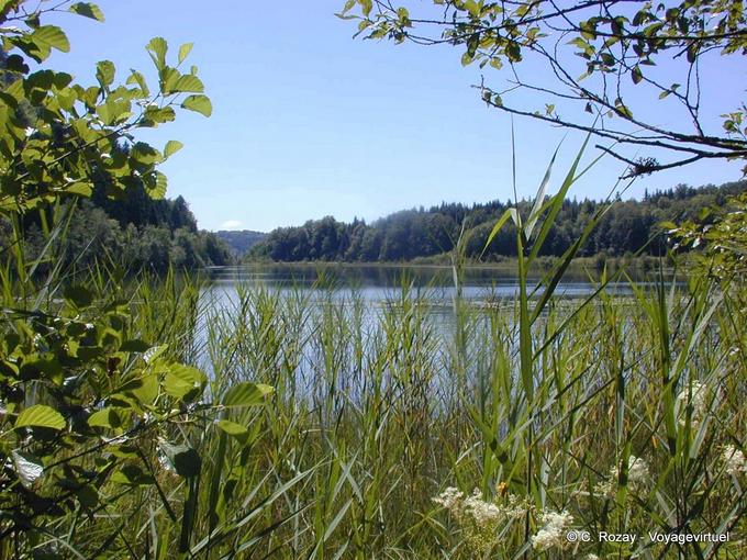 Lac du Petit Maclu, região selvagem, Jura - Franche-Comté, França
