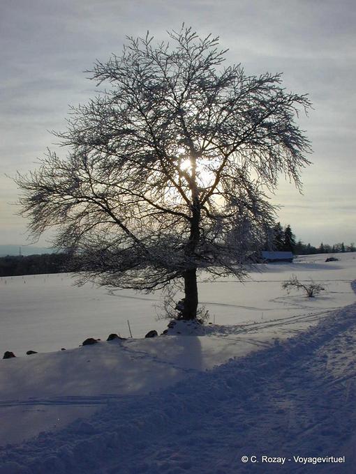 Sun e neve no Haut-Doubs, qualquer um? - Franche-Comté, França