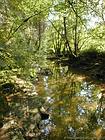 O Bremen, vegetação rasteira a Ornans, Doubs, França.