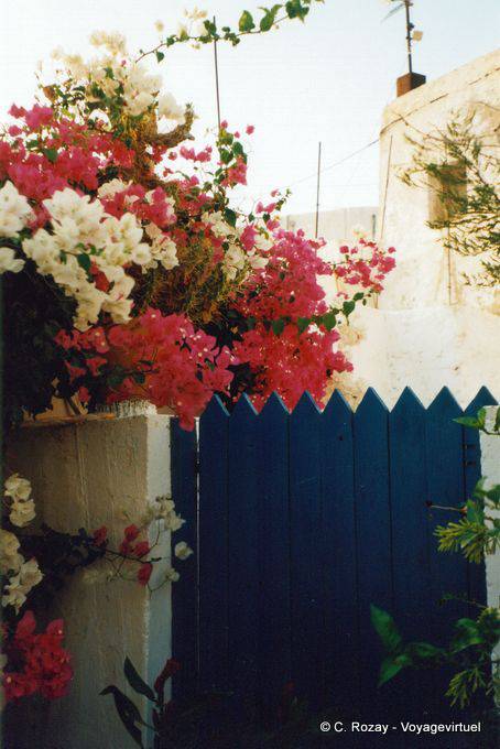 Bougainvillea em Chora, Anafi - Grécia
