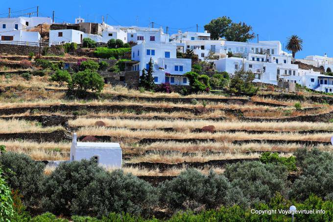 Sifnos, campos e casas em espaldeira, Kato Petali - Grécia
