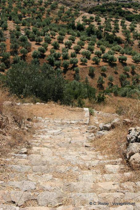 Antiga escadaria, IREO, Argolides - Grécia