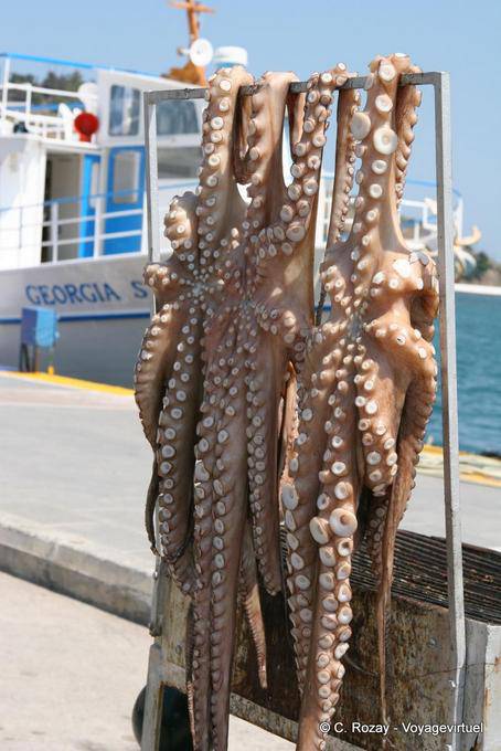 Secagem Octopus na porta, Poros - Grécia