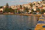 Habitat pisou Sphaeria, Poros, Grécia.