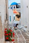 Serifos, Hora, rua pintura, Grécia.