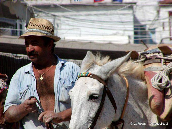 Mule, Hydra - Grécia