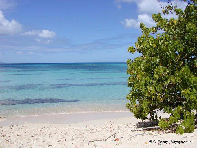 Areia branca e mar do Caribe, praia de Anse du Souffleur, Port Louis - Guadalupe