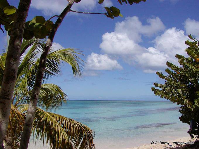 Nuvens do Caribe, praia de Anse du Souffleur - Guadalupe