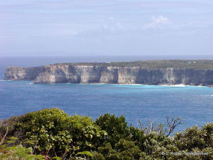 As falésias calcárias da ponta do Grande Vigie - Guadalupe