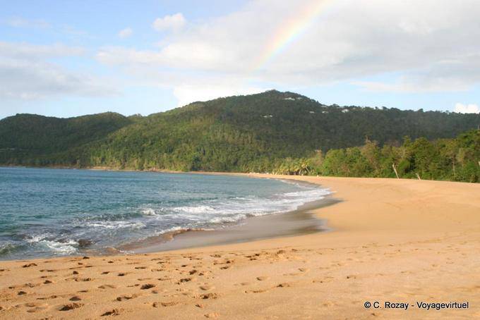 Vista panorâmica da praia de Grand Anse, Deshaies - Guadalupe