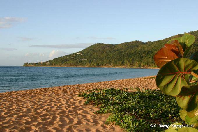 Ondulações Areia, Praia Grande Anse, Deshaies - Guadalupe